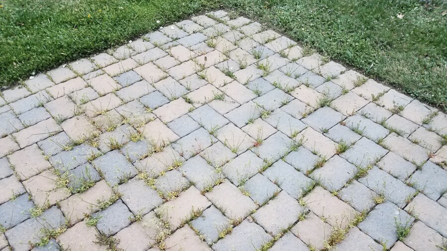 5 Ways to Prevent Weed Growth Between Paving Stones