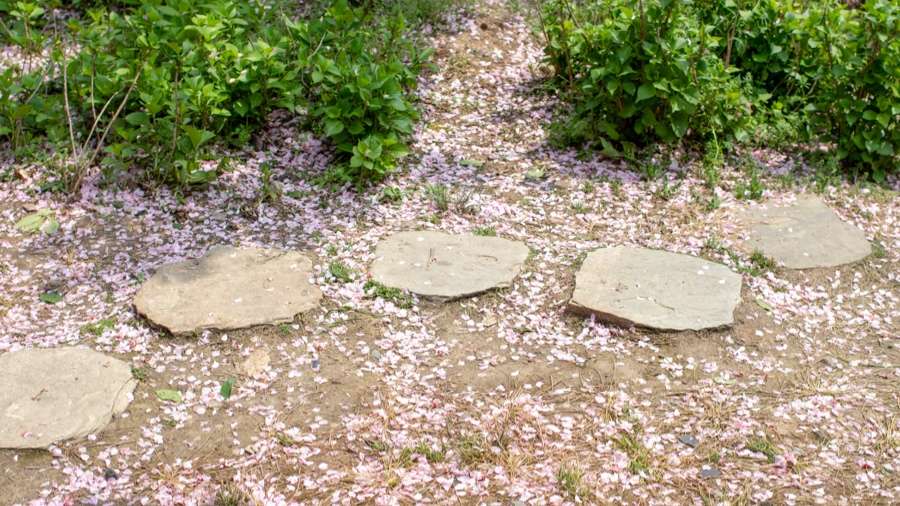Why Round Stepping Stones Are Ideal for Your Garden