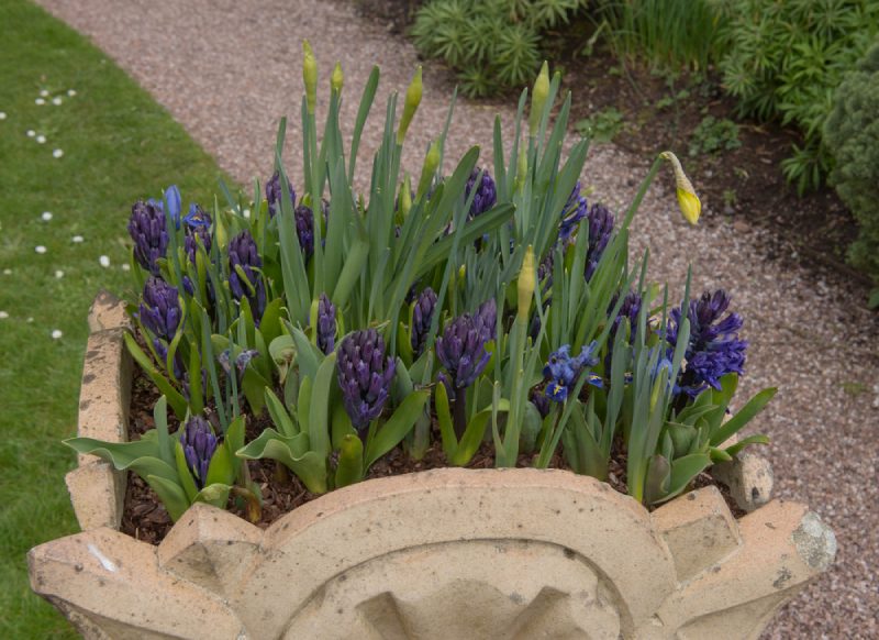 12 Tips to Create Beautiful Garden in This Spring